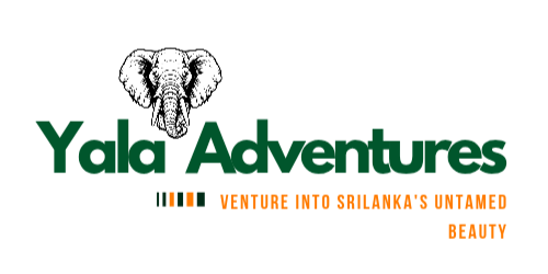 Yala Adventures