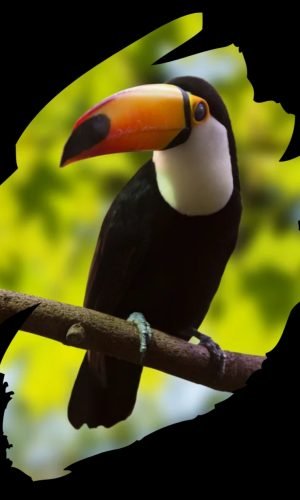 1743428160691